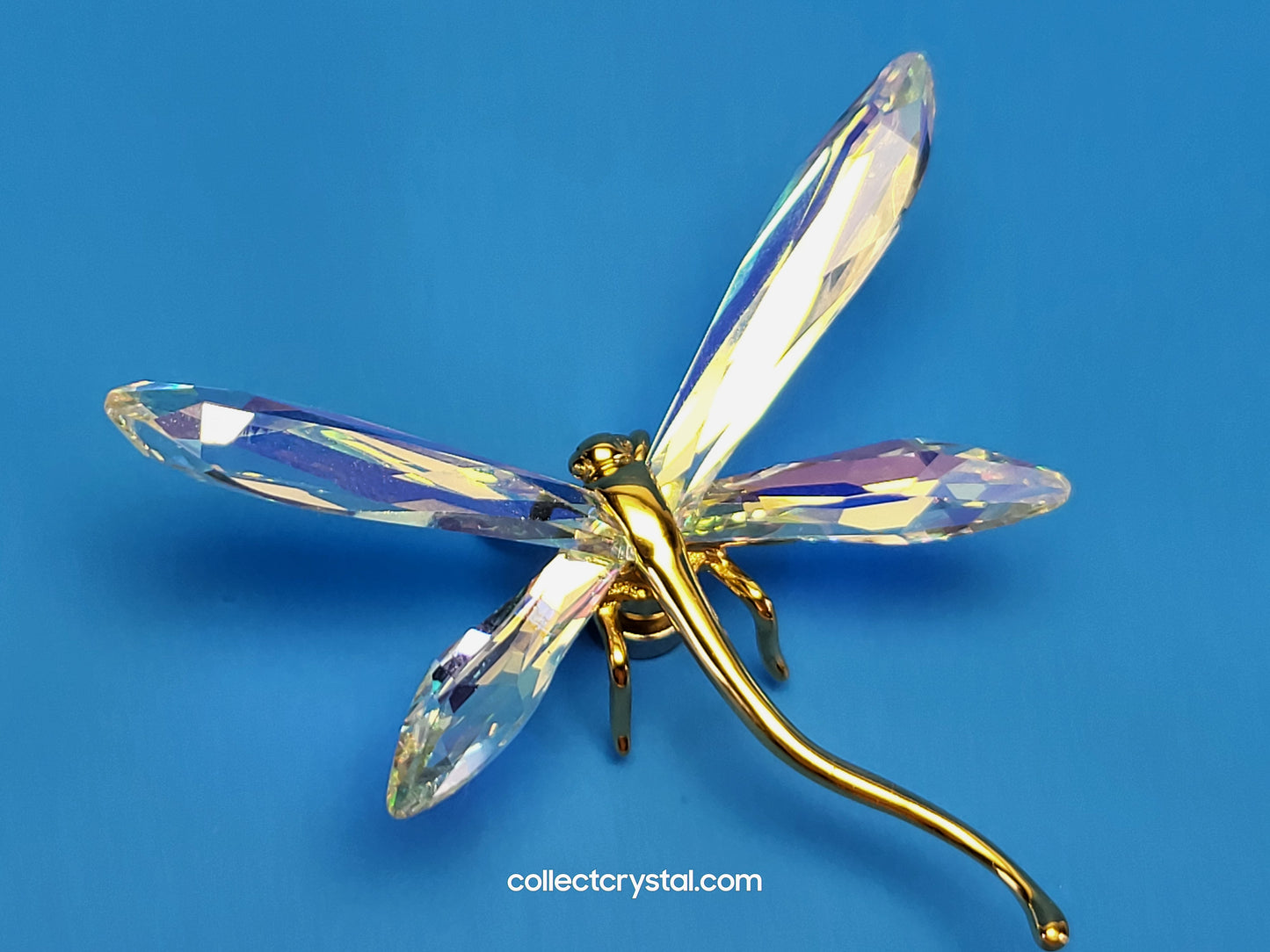 PARADISE BUGS OBJECT – DRAGONFLY ALIBEY AURORA BOREALIS # 250479