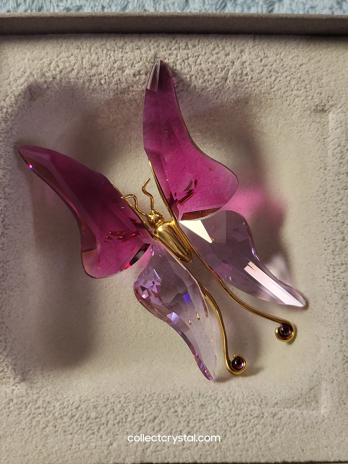 PARADISE BUGS OBJECT – BUTTERFLY ASTARA FUCHSIA LARGE 250465 / 243238