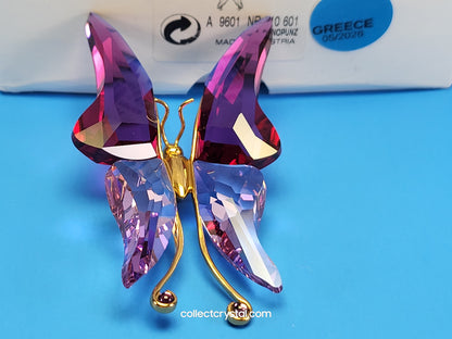 PARADISE BUGS OBJECT – BUTTERFLY ASTARA FUCHSIA LARGE 250465 / 243238