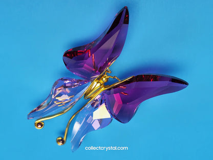 PARADISE BUGS OBJECT – BUTTERFLY ASTARA FUCHSIA LARGE 250465 / 243238