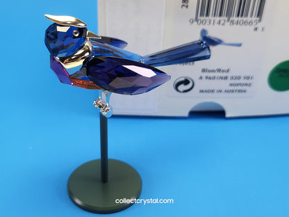 PARADISE BIRDS – OBJECT BENUA BLUE 284066 / 275572
