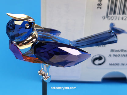 PARADISE BIRDS – OBJECT BENUA BLUE 284066 / 275572
