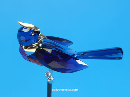 PARADISE BIRDS – OBJECT BENUA BLUE 284066 / 275572