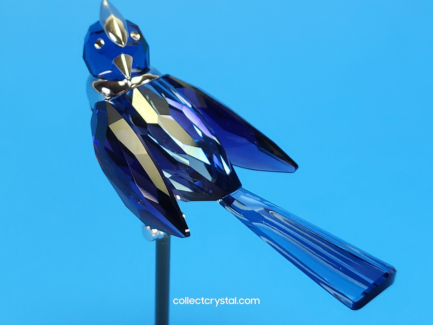 PARADISE BIRDS – OBJECT BENUA BLUE 284066 / 275572