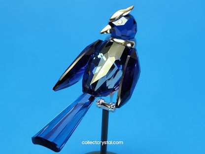 PARADISE BIRDS – OBJECT BENUA BLUE 284066 / 275572