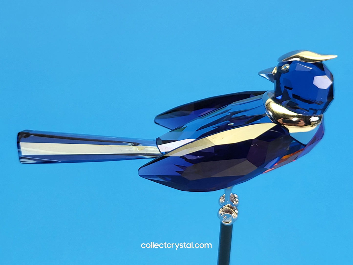 PARADISE BIRDS – OBJECT BENUA BLUE 284066 / 275572
