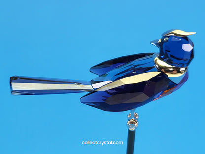PARADISE BIRDS – OBJECT BENUA BLUE 284066 / 275572