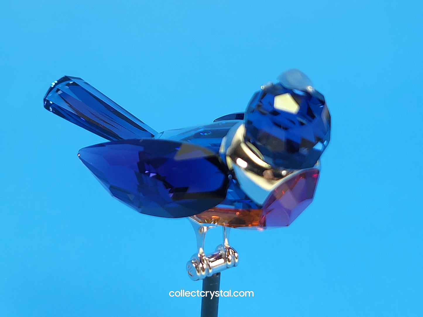PARADISE BIRDS – OBJECT BENUA BLUE 284066 / 275572