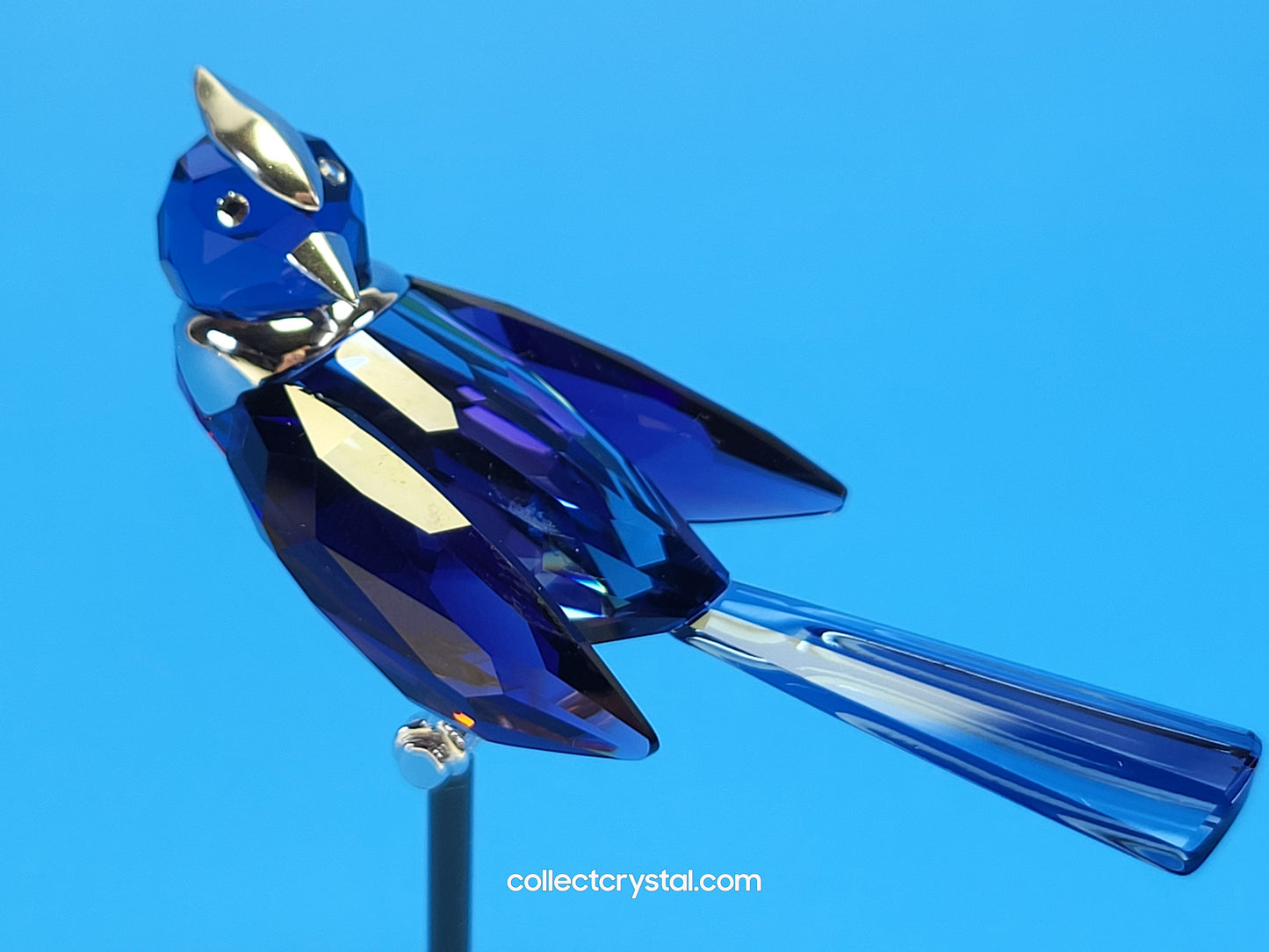 PARADISE BIRDS – OBJECT BENUA BLUE 284066 / 275572