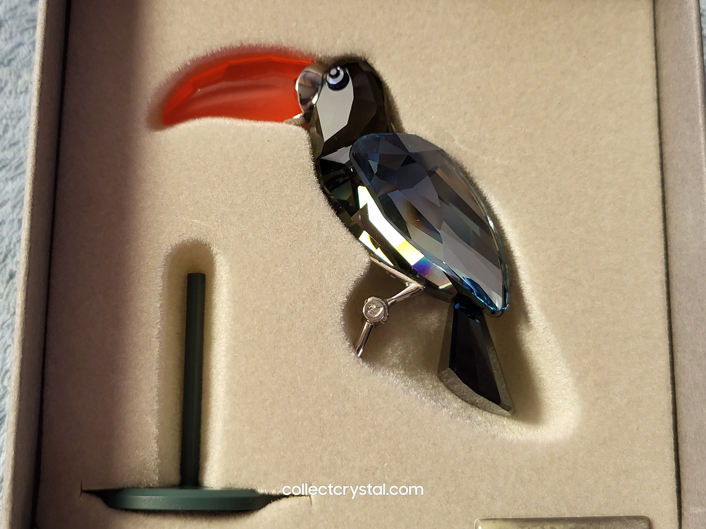 PARADISE BIRDS – OBJECT BAMBA BLACK DIAMOND 284062 / 269542