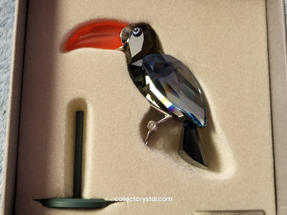PARADISE BIRDS – OBJECT BAMBA BLACK DIAMOND 284062 / 269542
