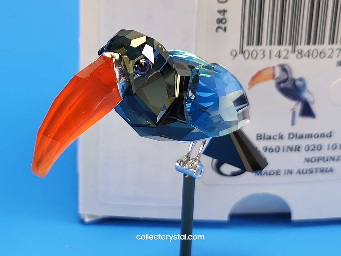 PARADISE BIRDS – OBJECT BAMBA BLACK DIAMOND 284062 / 269542