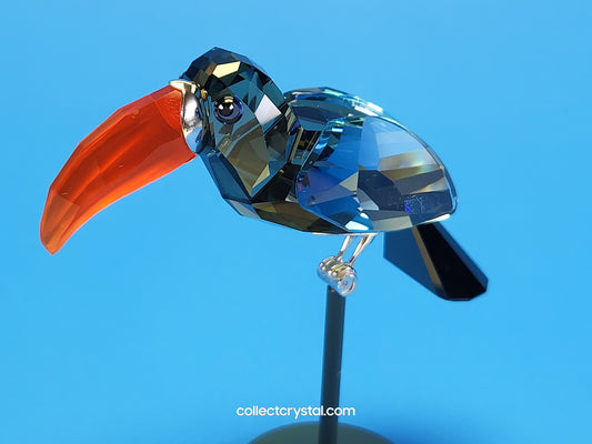 PARADISE BIRDS – OBJECT BAMBA BLACK DIAMOND 284062 / 269542