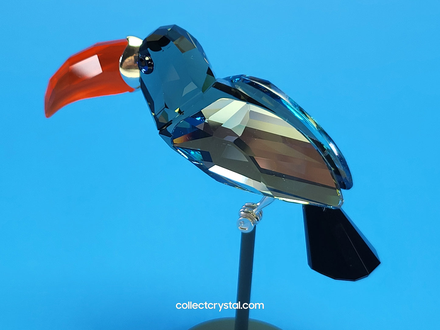 PARADISE BIRDS – OBJECT BAMBA BLACK DIAMOND 284062 / 269542