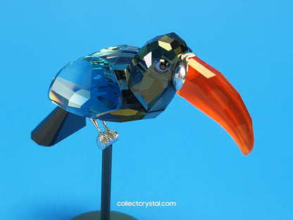 PARADISE BIRDS – OBJECT BAMBA BLACK DIAMOND 284062 / 269542