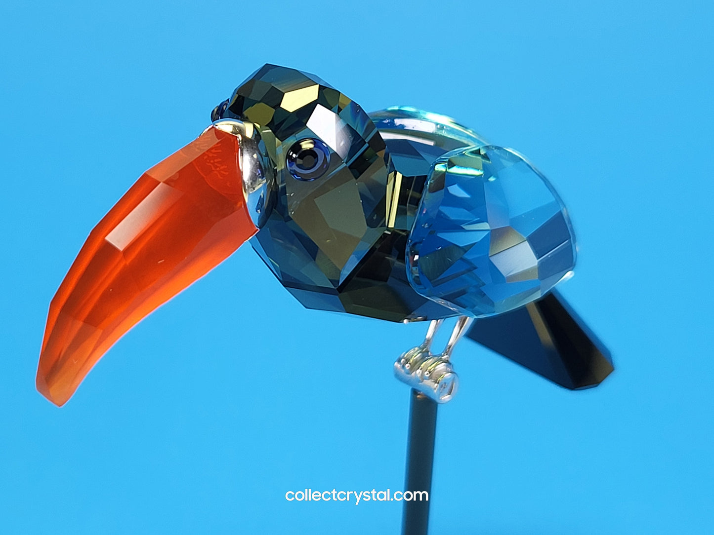 PARADISE BIRDS – OBJECT BAMBA BLACK DIAMOND 284062 / 269542
