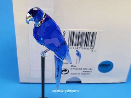 PARADISE BIRDS – OBJECT BALABAC SAPPHIRE 284065 / 275571