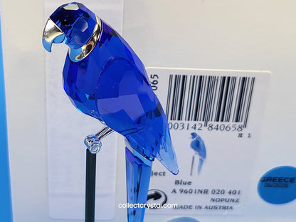 PARADISE BIRDS – OBJECT BALABAC SAPPHIRE 284065 / 275571