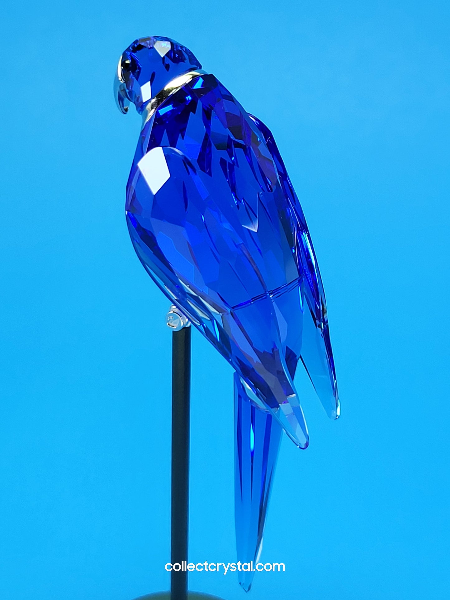 PARADISE BIRDS – OBJECT BALABAC SAPPHIRE 284065 / 275571