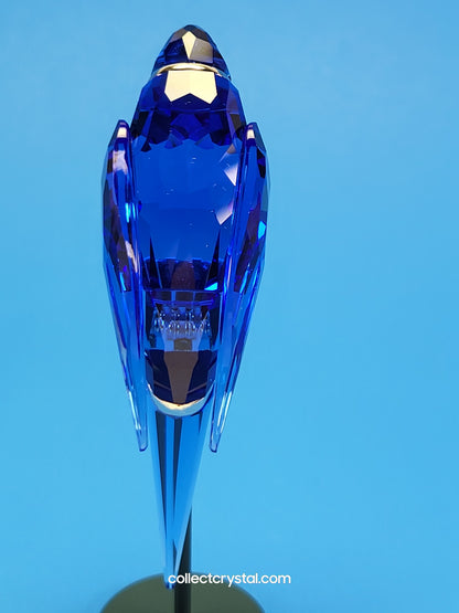 PARADISE BIRDS – OBJECT BALABAC SAPPHIRE 284065 / 275571