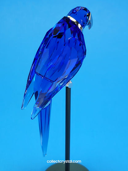 PARADISE BIRDS – OBJECT BALABAC SAPPHIRE 284065 / 275571