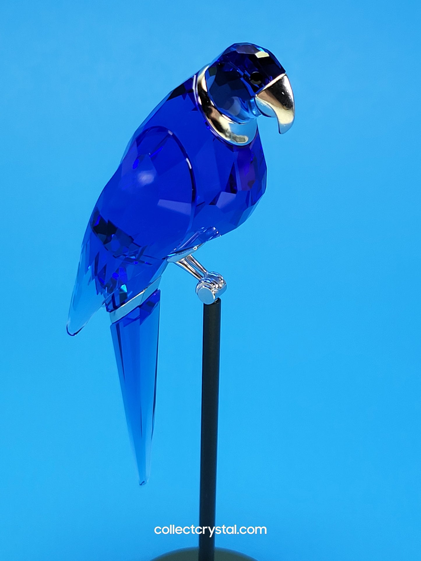 PARADISE BIRDS – OBJECT BALABAC SAPPHIRE 284065 / 275571
