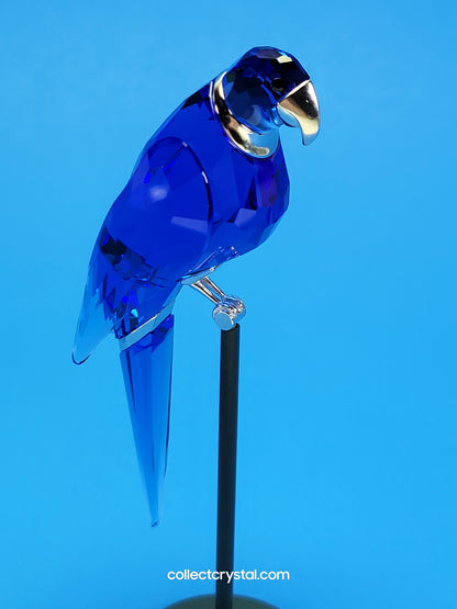 PARADISE BIRDS – OBJECT BALABAC SAPPHIRE 284065 / 275571