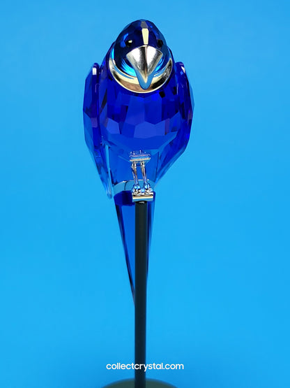 PARADISE BIRDS – OBJECT BALABAC SAPPHIRE 284065 / 275571