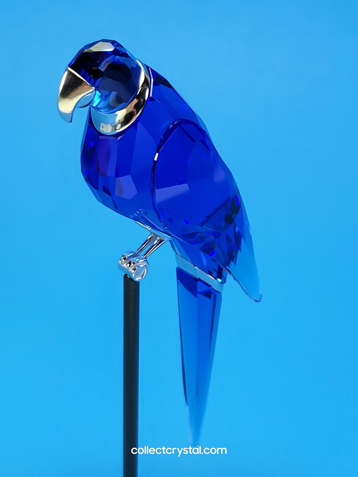 PARADISE BIRDS – OBJECT BALABAC SAPPHIRE 284065 / 275571