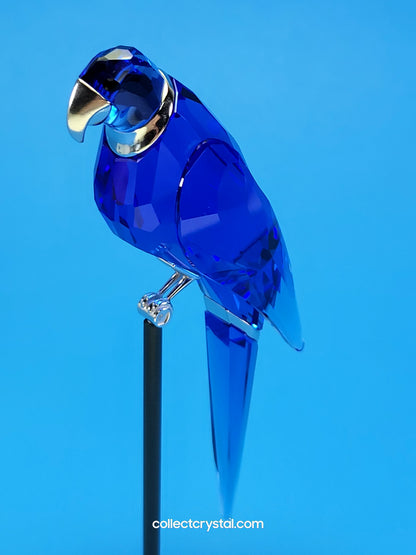 PARADISE BIRDS – OBJECT BALABAC SAPPHIRE 284065 / 275571