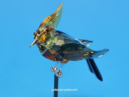 PARADISE BIRDS – OBJECT BONRIKI TOPAZ 275577