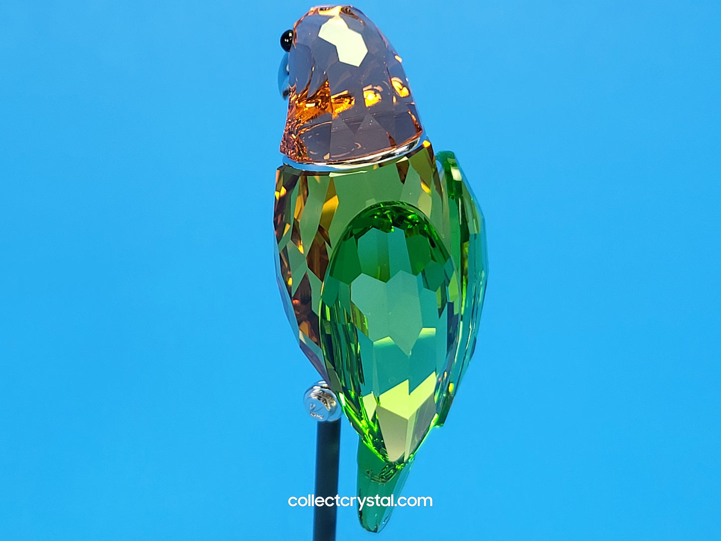 PARADISE BIRDS – OBJECT BEBOTTO JONQUIL 275574