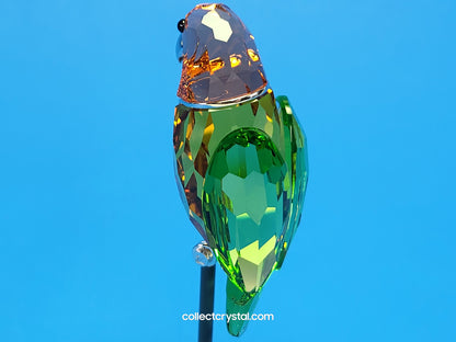 PARADISE BIRDS – OBJECT BEBOTTO JONQUIL 275574