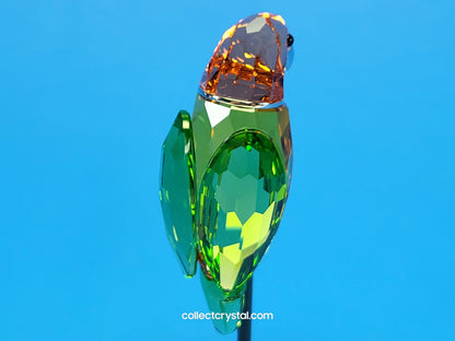PARADISE BIRDS – OBJECT BEBOTTO JONQUIL 275574