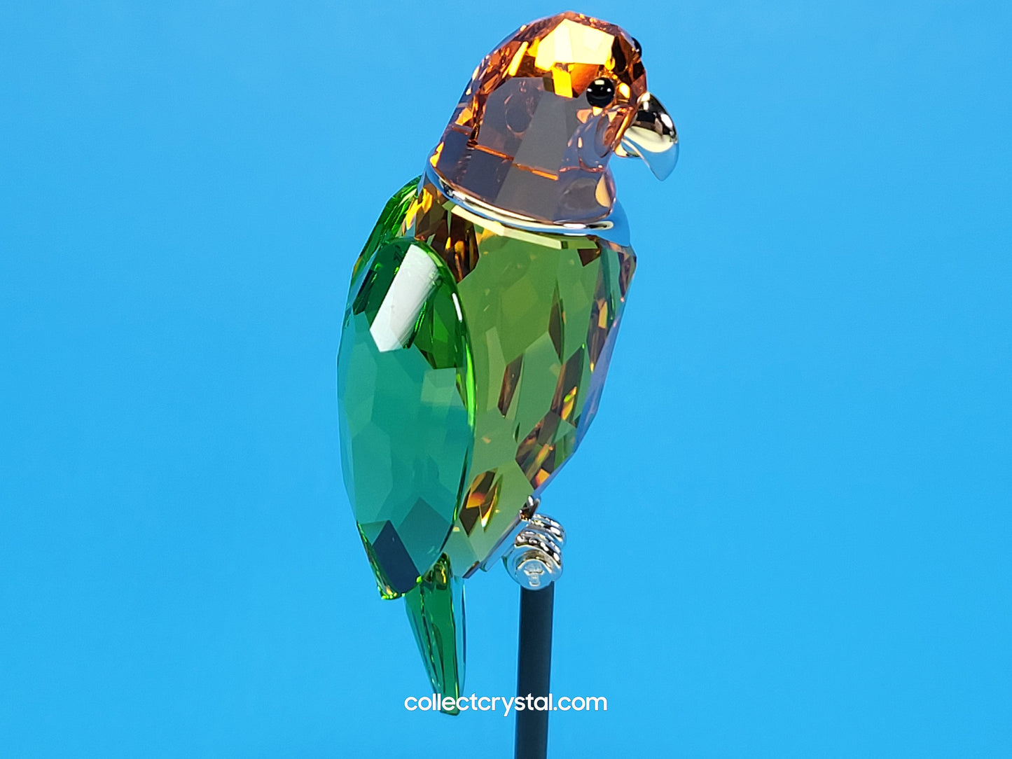 PARADISE BIRDS – OBJECT BEBOTTO JONQUIL 275574