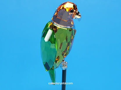 PARADISE BIRDS – OBJECT BEBOTTO JONQUIL 275574