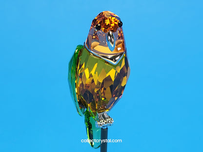 PARADISE BIRDS – OBJECT BEBOTTO JONQUIL 275574