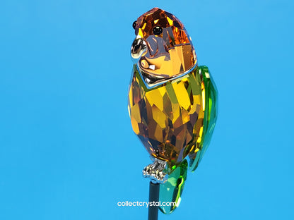 PARADISE BIRDS – OBJECT BEBOTTO JONQUIL 275574