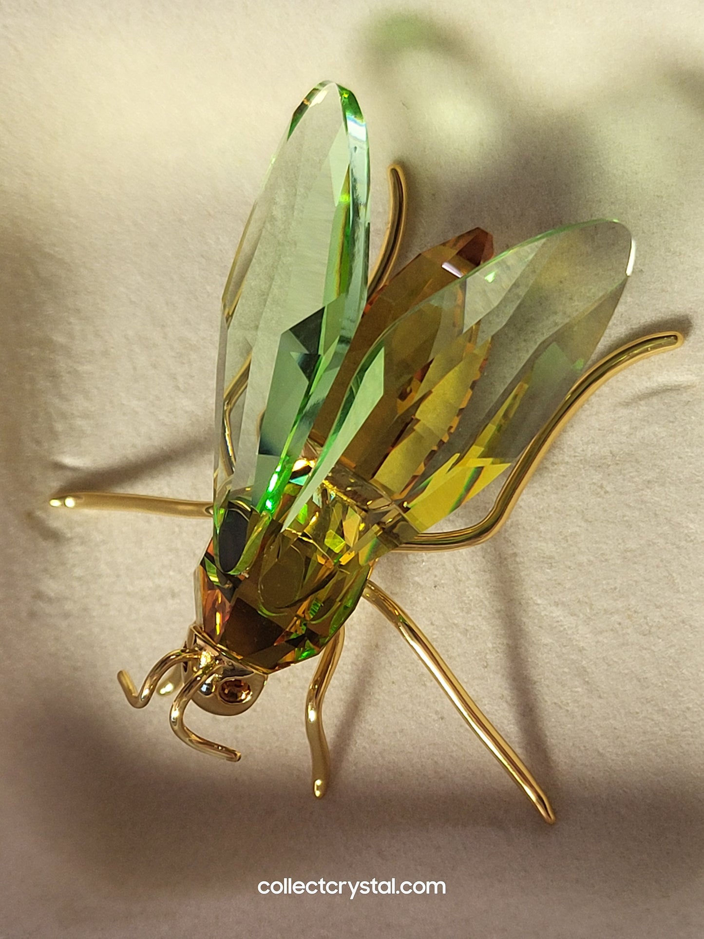 PARADISE BUGS OBJECT – BEE AMAYA CHRYSOLITE MEDIUM 250467 / 242245