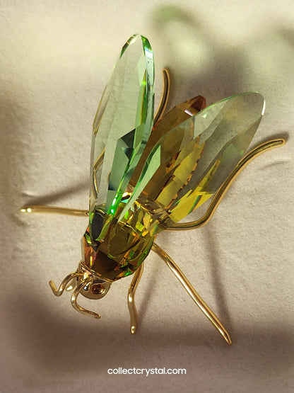PARADISE BUGS OBJECT – BEE AMAYA CHRYSOLITE MEDIUM 250467 / 242245