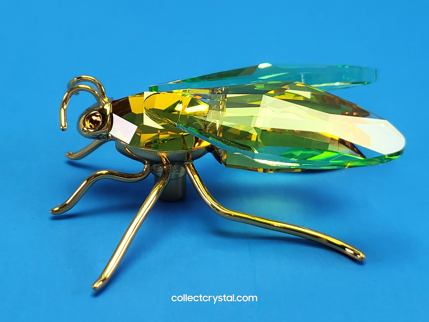 PARADISE BUGS OBJECT – BEE AMAYA CHRYSOLITE MEDIUM 250467 / 242245