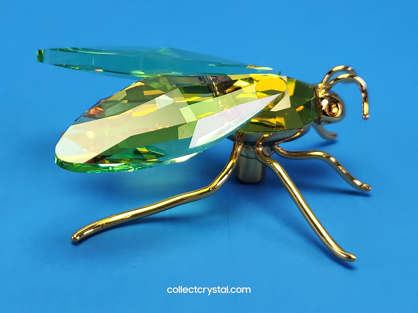 PARADISE BUGS OBJECT – BEE AMAYA CHRYSOLITE MEDIUM 250467 / 242245