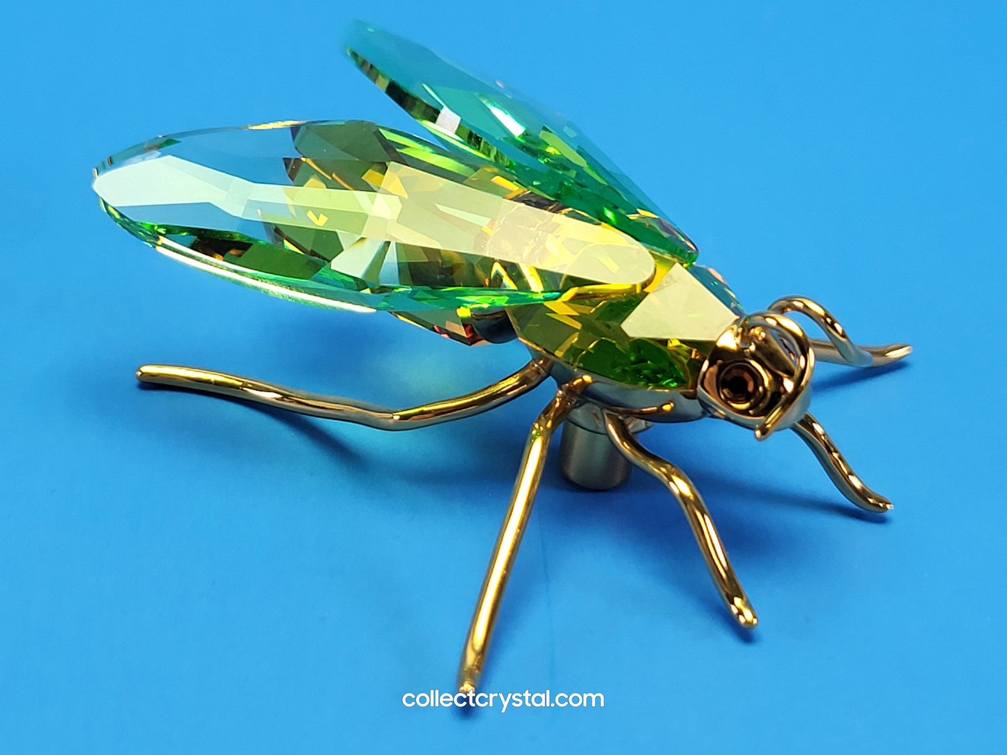 PARADISE BUGS OBJECT – BEE AMAYA CHRYSOLITE MEDIUM 250467 / 242245