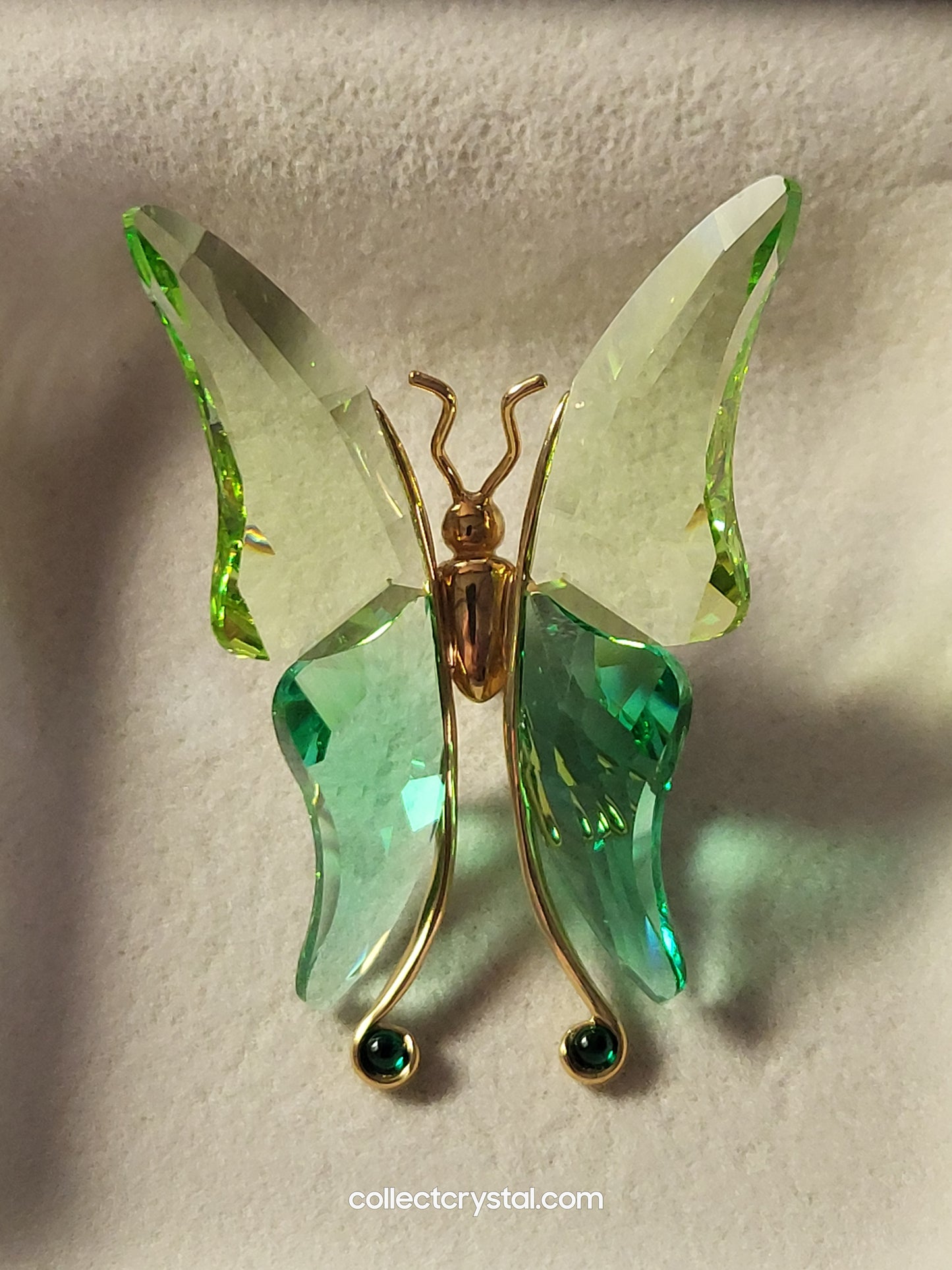PARADISE BUGS OBJECT – BUTTERFLY ASTARA LIGHT EMERALD MEDIUM 250464 / 243236