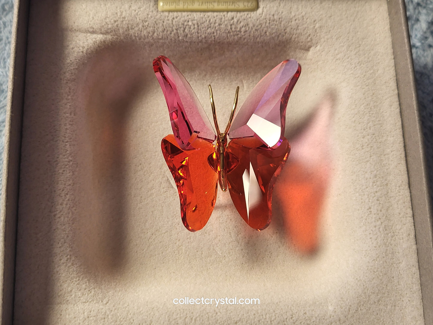 PARADISE BUGS OBJECT – BUTTERFLY ABALA ROSE MEDIUM 250461