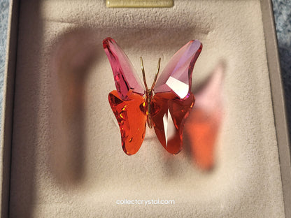 PARADISE BUGS OBJECT – BUTTERFLY ABALA ROSE MEDIUM 250461