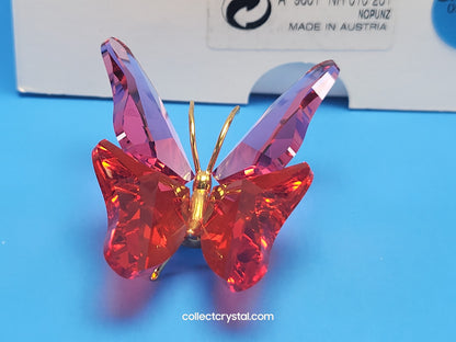 PARADISE BUGS OBJECT – BUTTERFLY ABALA ROSE MEDIUM 250461