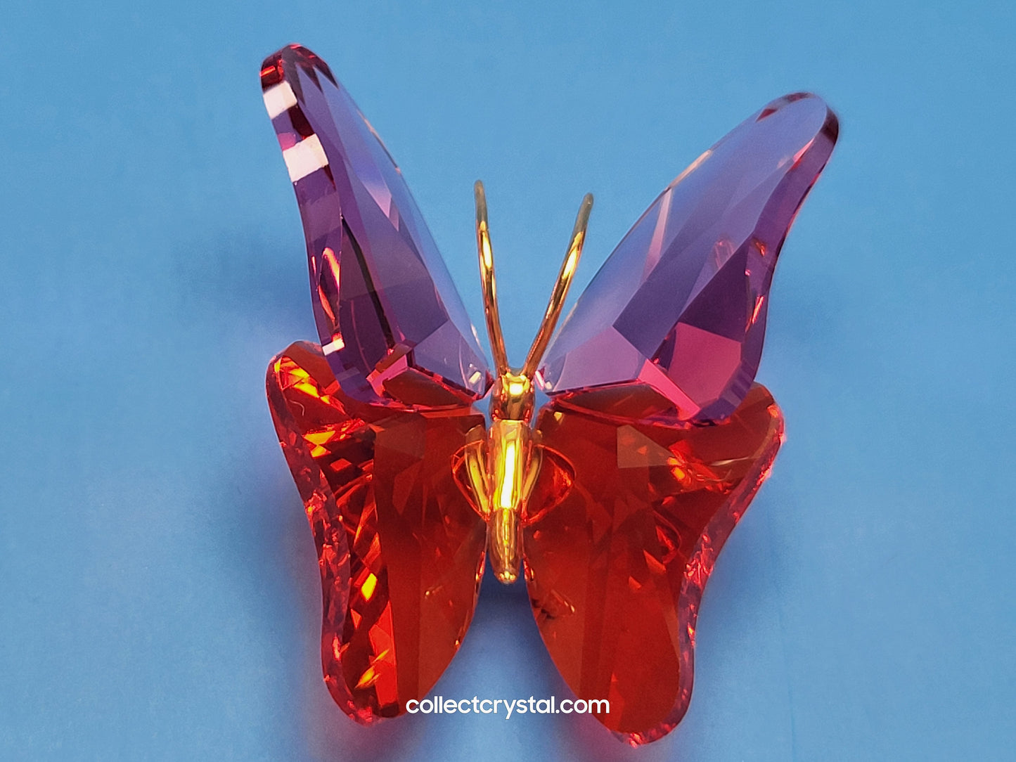 PARADISE BUGS OBJECT – BUTTERFLY ABALA ROSE MEDIUM 250461