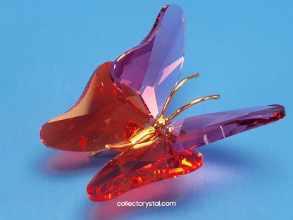 PARADISE BUGS OBJECT – BUTTERFLY ABALA ROSE MEDIUM 250461