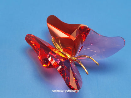 PARADISE BUGS OBJECT – BUTTERFLY ABALA ROSE MEDIUM 250461
